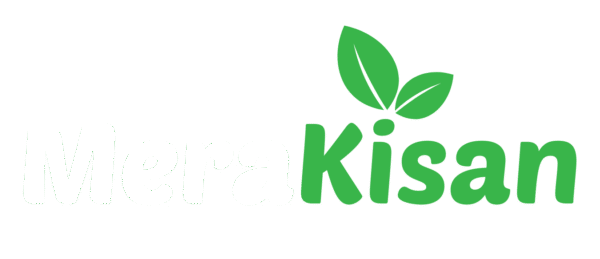 MeraKisan — India's Bulk Quinoa Supplier