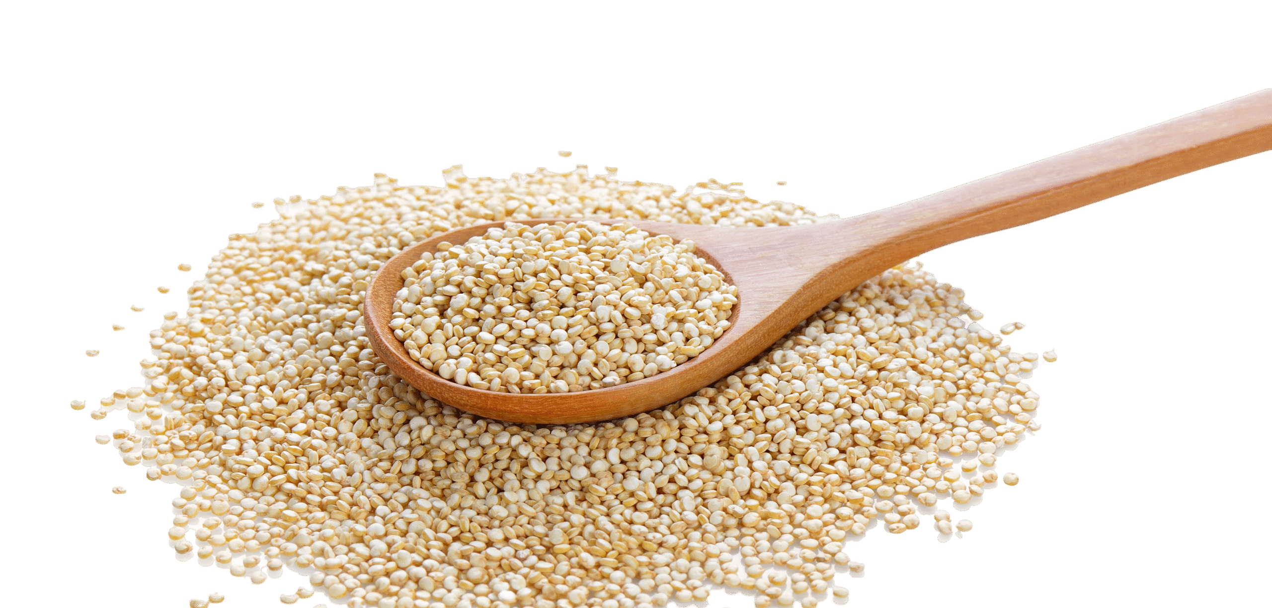 Quinoa
