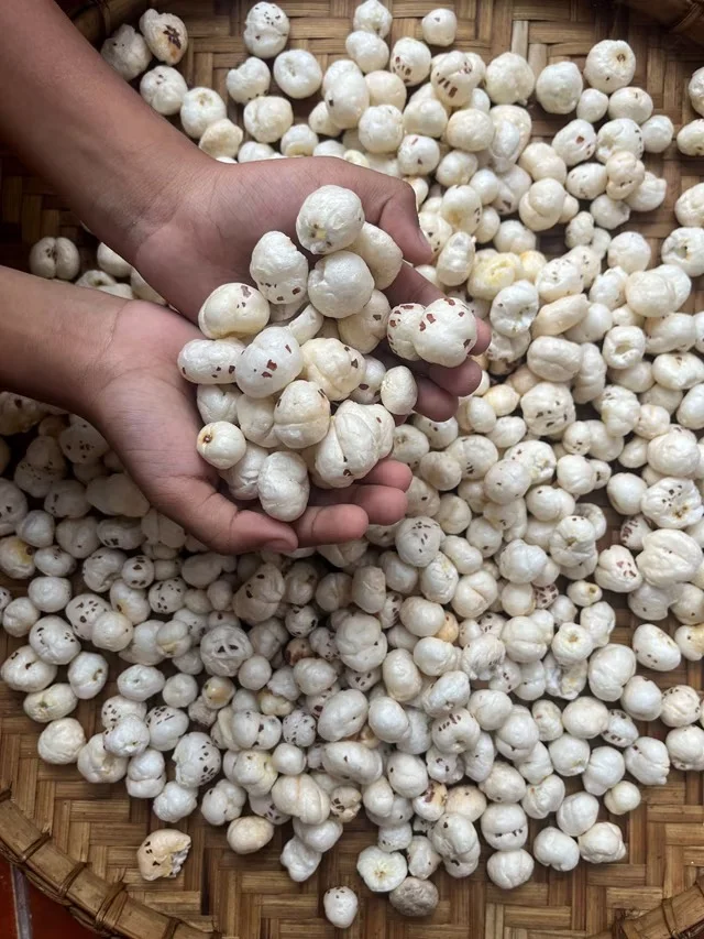 What Are Fox Nuts (lotus seeds)? What Are Fox Nuts (lotus seeds)?