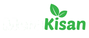 India's Trusted Supplier of Premium Makhana