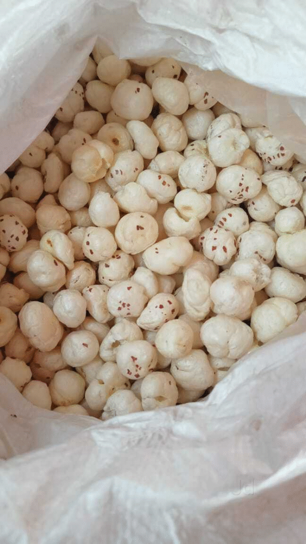 High-quality raw makhana (foxnuts) – clean, white, puffed lotus seeds suitable for export, snacking, or roasting