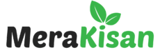 Merakisan.com