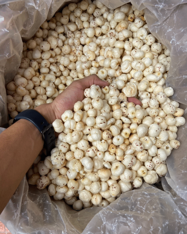 High-quality raw makhana (foxnuts) – clean, white, puffed lotus seeds suitable for export, snacking, or roasting