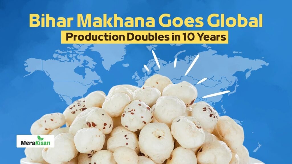 Makhana Market in US