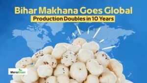 Makhana Market in US