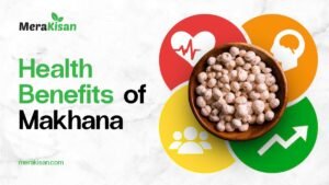 Health Benefits of Makhana