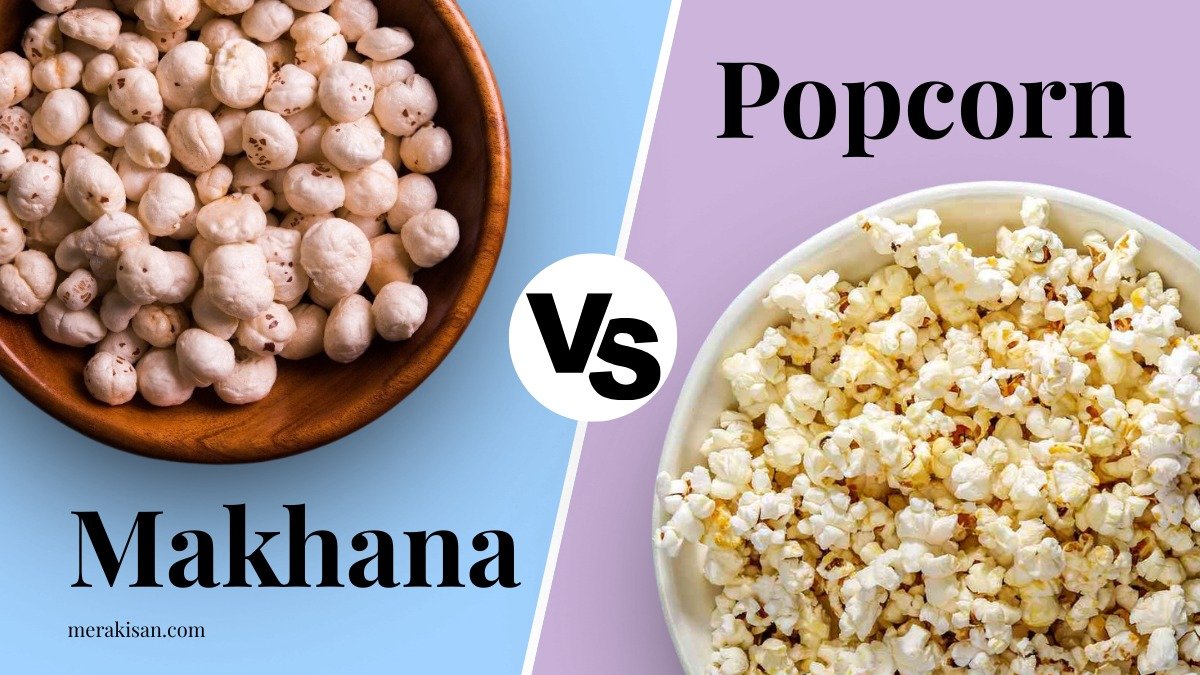 Makhana vs Popcorn: Why Fox Nuts Are the Healthier Snack in 2025