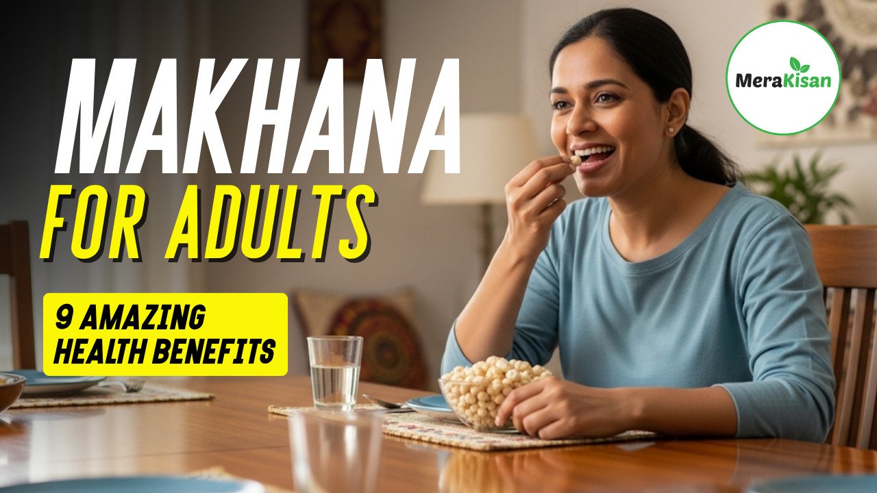 Makhana for Adults: 9 Powerful Reasons to Add It to Your Diet in 2025
