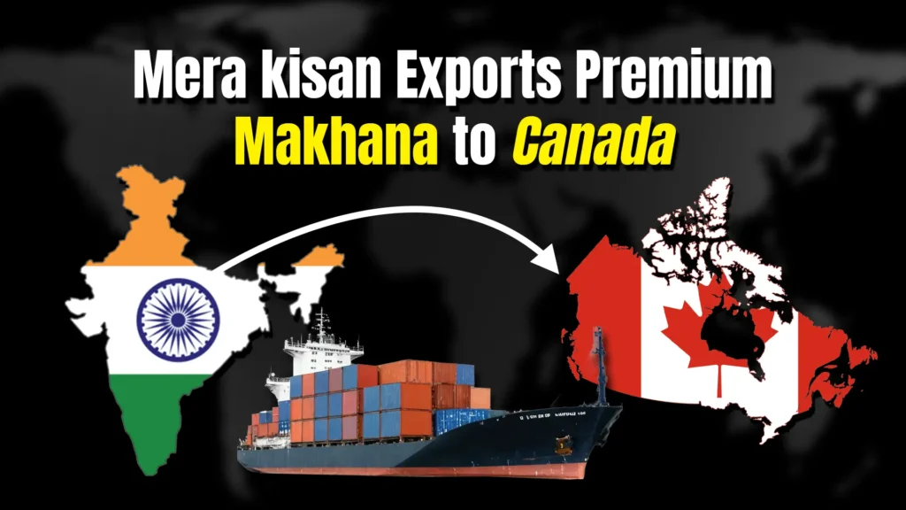 Exports Flavored Makhana