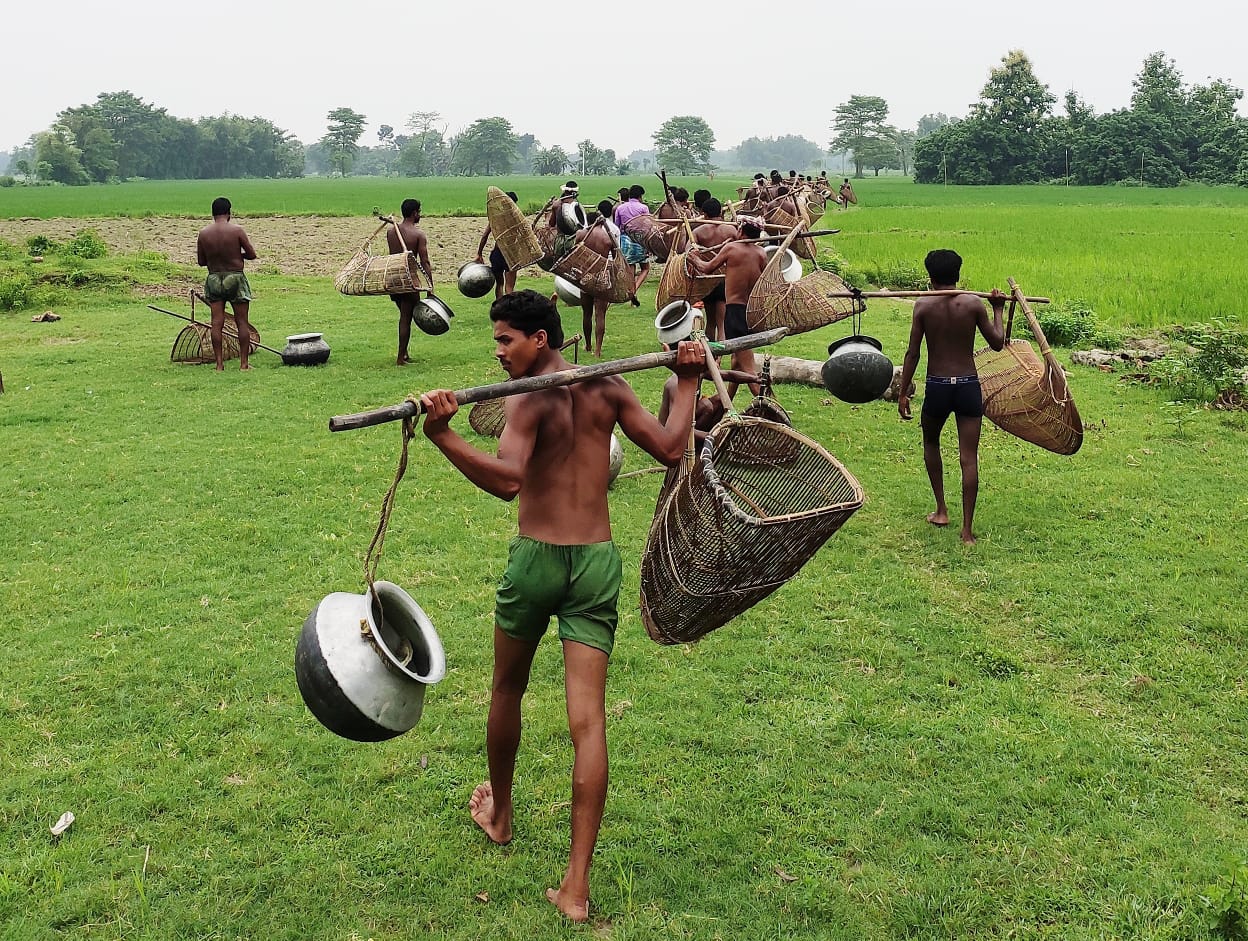 Bihar farmer harvesting Makhana lotus seeds in Mithila pond